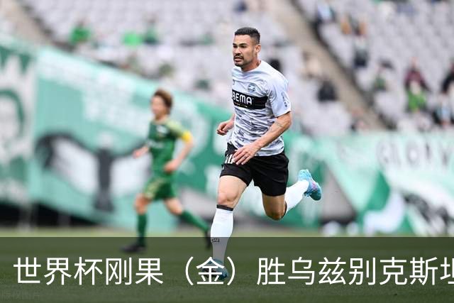 世界杯刚果（金）胜乌兹别克斯坦 韩国无缘32强